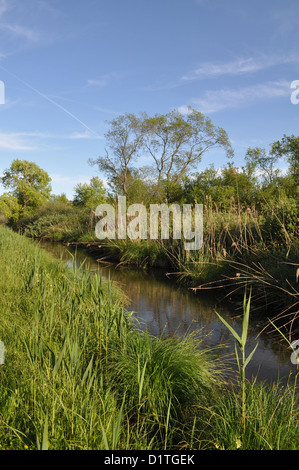 Po-Fluss-Delta (Italien), Punte Alberete Naturschutzgebiet Stockfoto