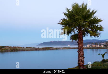 Sonnenaufgang am frühen Morgen des nebligen Tag im Ventura mit Palm Tree Rahmung Hafen Stockfoto