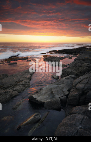 Sonnenuntergang über felsige Küste (Hermanus - Provinz Westkap - Südafrika) Stockfoto