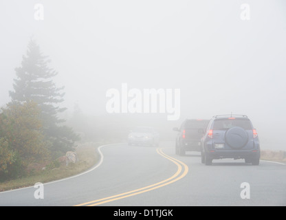 Fahren bei schlechten Sichtverhältnissen, Cadillac Mountain, Acadia National Park, Maine, USA Stockfoto