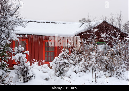 Ein rotes eingebettet gefrorenen Hütte im Wald in einer verschneiten Landschaft mit Eis Zyklen hängen vom Dach. Stockfoto