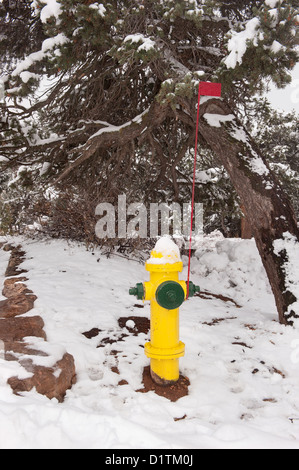 Ein Wildnisgebiet Feuer Hydrant mit visuellen Identifikation Fahnenmast für den Fall, dass Schnee bedeckt den Hydranten. Stockfoto