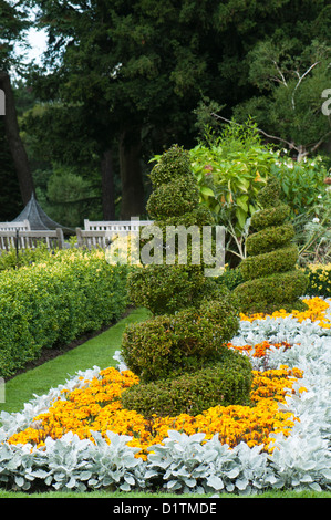 Formschnitt und Sommer Bettwäsche, Birmingham Botanical Gardens, West Midlands, England, Vereinigtes Königreich Stockfoto