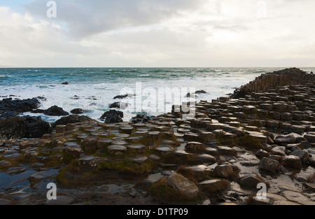 Die wunderschönen riesigen Damm in der Nähe von Bushmills im County Antrim Küste Nordirland Vereinigtes Königreich UK Stockfoto