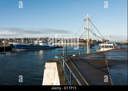 Große Seeschiffe Trawler Liegeplatz am Kai in Bangor Hafen County Down Nordirland Vereinigtes Königreich UK Stockfoto