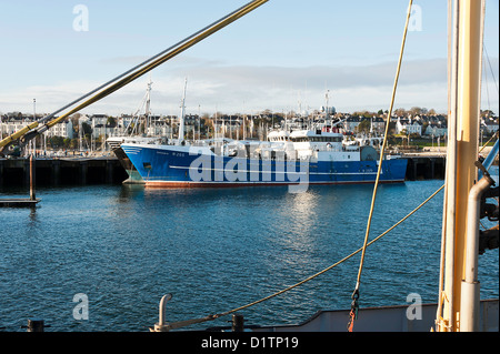 Große Seeschiffe Trawler Liegeplatz am Kai in Bangor Hafen County Down Nordirland Vereinigtes Königreich UK Stockfoto