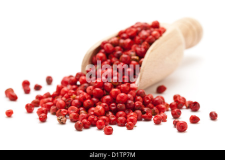 Rosa Pfeffer (auch genannt "Brasilien Pfeffer", "Schinus Terebinthifolius") in hölzerne Schaufel auf weißem Hintergrund Stockfoto