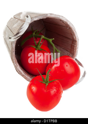 Frische Bio-Tomaten in hölzernen Korb isoliert auf weißem Hintergrund Stockfoto