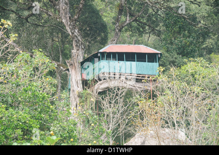 Baumhäuser, Baumhäuser oder Baum Festungen. Munnar Kerala Indien Stockfoto