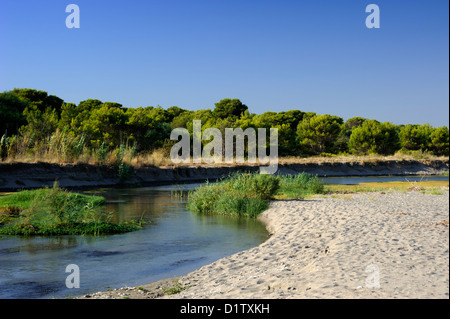 Italien, Basilicata, Policoro, Riserva regionale Bosco Pantano, WWF Naturschutzgebiet Stockfoto