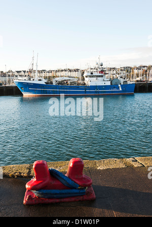 Große Seeschiffe Trawler Liegeplatz am Kai in Bangor Hafen County Down Nordirland Vereinigtes Königreich UK Stockfoto