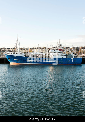 Große Seeschiffe Trawler Liegeplatz am Kai in Bangor Hafen County Down Nordirland Vereinigtes Königreich UK Stockfoto