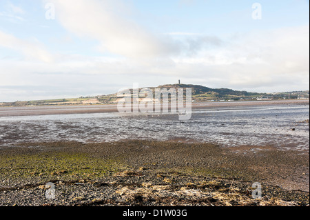 Der Blick über Strangford Lough in Richtung Strabo Turm County Down Nordirland Vereinigtes Königreich UK Stockfoto