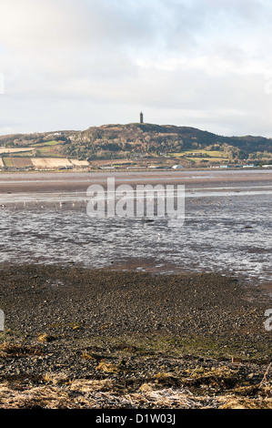 Der Blick über Strangford Lough in Richtung Strabo Turm County Down Nordirland Vereinigtes Königreich UK Stockfoto