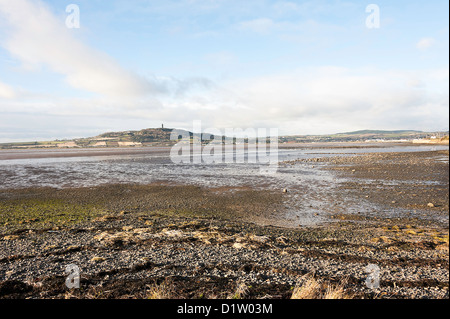 Der Blick über Strangford Lough in Richtung Strabo Turm County Down Nordirland Vereinigtes Königreich UK Stockfoto