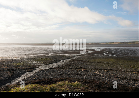 Der Blick über Strangford Lough in Richtung Strabo Turm County Down Nordirland Vereinigtes Königreich UK Stockfoto