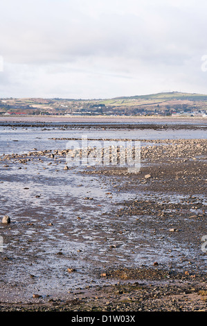 Der Blick über Strangford Lough in Richtung Strabo Turm County Down Nordirland Vereinigtes Königreich UK Stockfoto