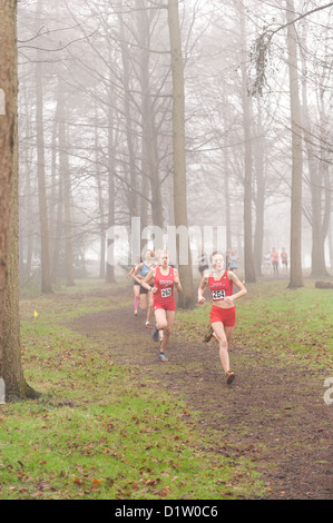 Kent Cross Country Meisterschaften unter 17 Mädchen Jugend läuft auf Trail-Pfad durch Wald im Nebel und nebligen Bedingungen ausgeführt Stockfoto