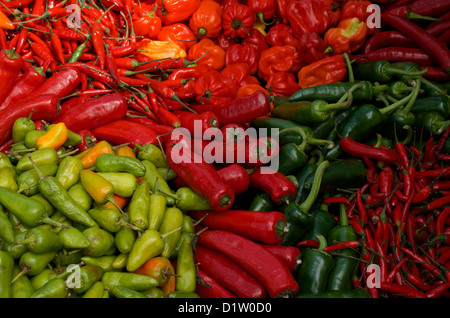 Verschiedene bunte Chili gestapelt auf einem Stall bei einem Chili-Festival Stockfoto