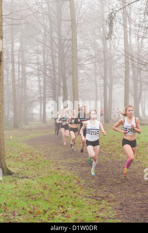 Kent Cross Country Meisterschaften unter 17 Mädchen Jugend läuft auf Trail-Pfad durch Wald im Nebel und nebligen Bedingungen ausgeführt Stockfoto