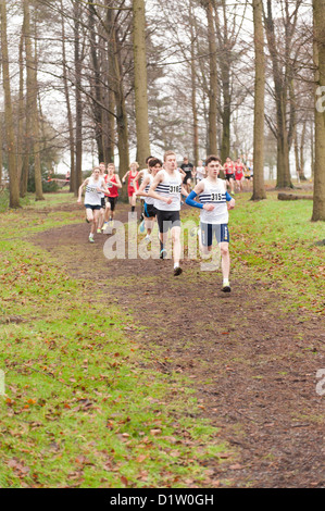 Kent Cross Country Meisterschaften unter 17 jungen Jugend läuft auf Trail-Pfad durch Wald im Nebel und nebligen Bedingungen ausgeführt Stockfoto