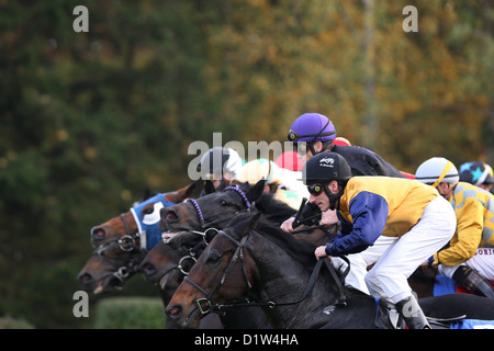 Hannover, Deutschland, Pferde und jockeys kurz nach dem Start des Rennens Stockfoto