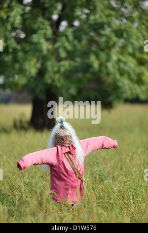 Lustige Stroh Vogelscheuche im Reisfeld, Thailand Stockfoto