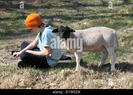 Neu Kätwin, Deutschland, junge sitzt neben einem Schaf auf dem Boden und schnitzt Stockfoto