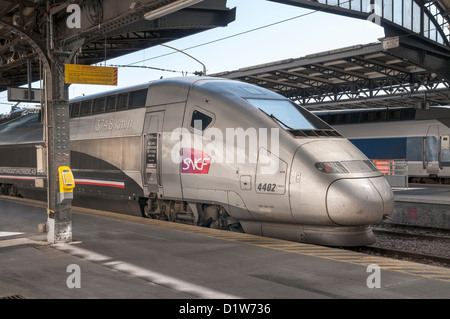 Hochgeschwindigkeitszug TGV POS von Alstom gebaut und betrieben von der französischen Eisenbahn Gesellschaft SNCF, sitzen in Paris, Frankreich, Europa Stockfoto