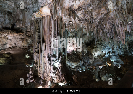 Höhlen von Nerja. Beleuchteten Galerien von Kalkstein-Formationen. Der größte Stalagmit in der Welt in der Halle des Kataklysmus. Stockfoto