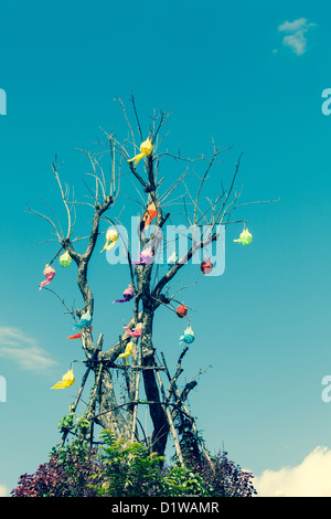 Baum mit thailändischen traditionellen Laterne unter blauem Himmel Stockfoto