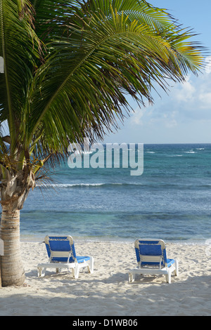 Lounge Stühle an einem karibischen Strand.  Das Reef Resort, Grand Cayman, British West Indies Stockfoto