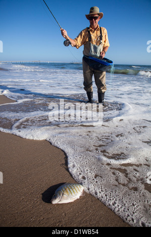 Fliegenfischer Fang von Surf, La Conchita Beach in der Nähe von Carpinteria, Kalifornien, Vereinigte Staaten von Amerika Stockfoto