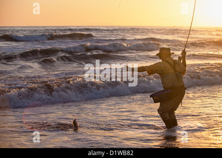 Fliegenfischer Fang von Surf, La Conchita Beach in der Nähe von Carpinteria, Kalifornien, Vereinigte Staaten von Amerika Stockfoto