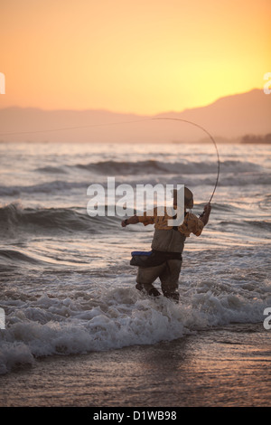 Fliegenfischer Fang von Surf, La Conchita Beach in der Nähe von Carpinteria, Kalifornien, Vereinigte Staaten von Amerika Stockfoto