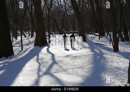 Zwei Personen und einem Hund in einem verschneiten Wald wandern, von hinten gesehen. Stockfoto