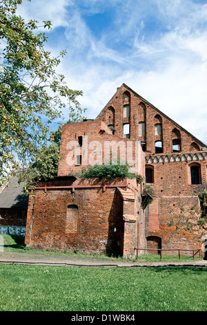 Klosterruine und Münster in Bad Doberan, Deutschland Stockfoto