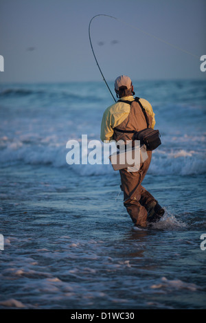 Fliegenfischen auf Barsch in der Brandung am Strand Padaro Carpinteria, Kalifornien, Vereinigte Staaten von Amerika Stockfoto