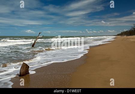 Weiten einsamen Strand mit toten Baum im blauen Wasser des Pazifischen Ozeans - Nachweis der steigende Meeresspiegel und Klima ändern Stockfoto