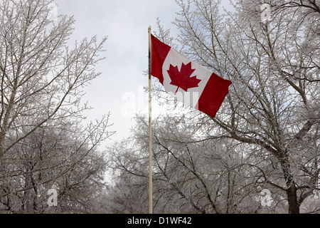 kanadische Flagge mit Frost bedeckt Bäume Forget Saskatchewan Kanada Stockfoto