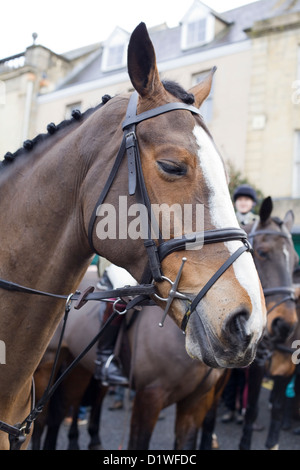 Jäger von der Heythope Jagd Boxing Day treffen sich bei Chipping Norton Oxfordshire-England Stockfoto