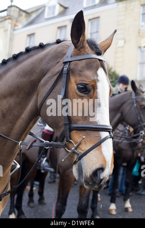 Jäger von der Heythope Jagd Boxing Day treffen sich bei Chipping Norton Oxfordshire-England Stockfoto