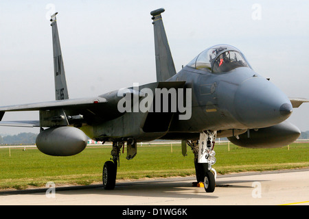 Militärflugzeuge US Air Force F 15 schlagen Adler Stockfoto