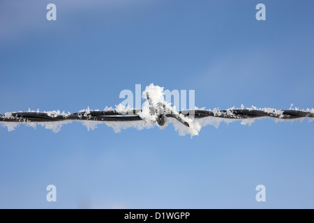 Raureif auf Stacheldrahtzaun in Forget Saskatchewan Kanada Stockfoto