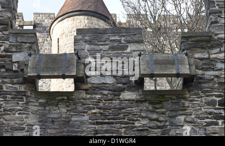 Fensterläden von Lücken in Burg Gravensteen (ca. 1180). Gent, Ostflandern, Belgien Stockfoto