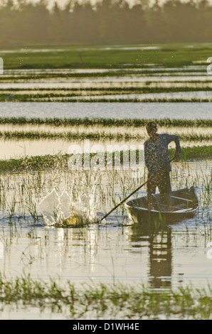 Angeln im kleinen Boot wie Sonnenuntergang Männer. Hoi an, Vietnam Stockfoto