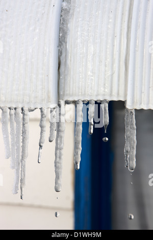 Wasser tropft aus Eiszapfen auf ein Haus, bei Sonnenschein in Forget Saskatchewan Kanada schmelzen Stockfoto