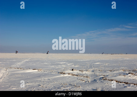 verschneite Prärie Landwirtschaft landwirtschaftliche Nutzflächen mit Pumpjacks Ölfeld Winter vergessen Saskatchewan Kanada Stockfoto