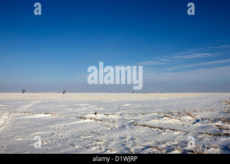 verschneite Prärie Landwirtschaft landwirtschaftliche Nutzflächen mit Pumpjacks Ölfeld Winter vergessen Saskatchewan Kanada Stockfoto