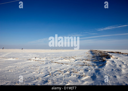 verschneite Prärie Landwirtschaft landwirtschaftliche Nutzflächen mit Pumpjacks Ölfeld Winter vergessen Saskatchewan Kanada Stockfoto